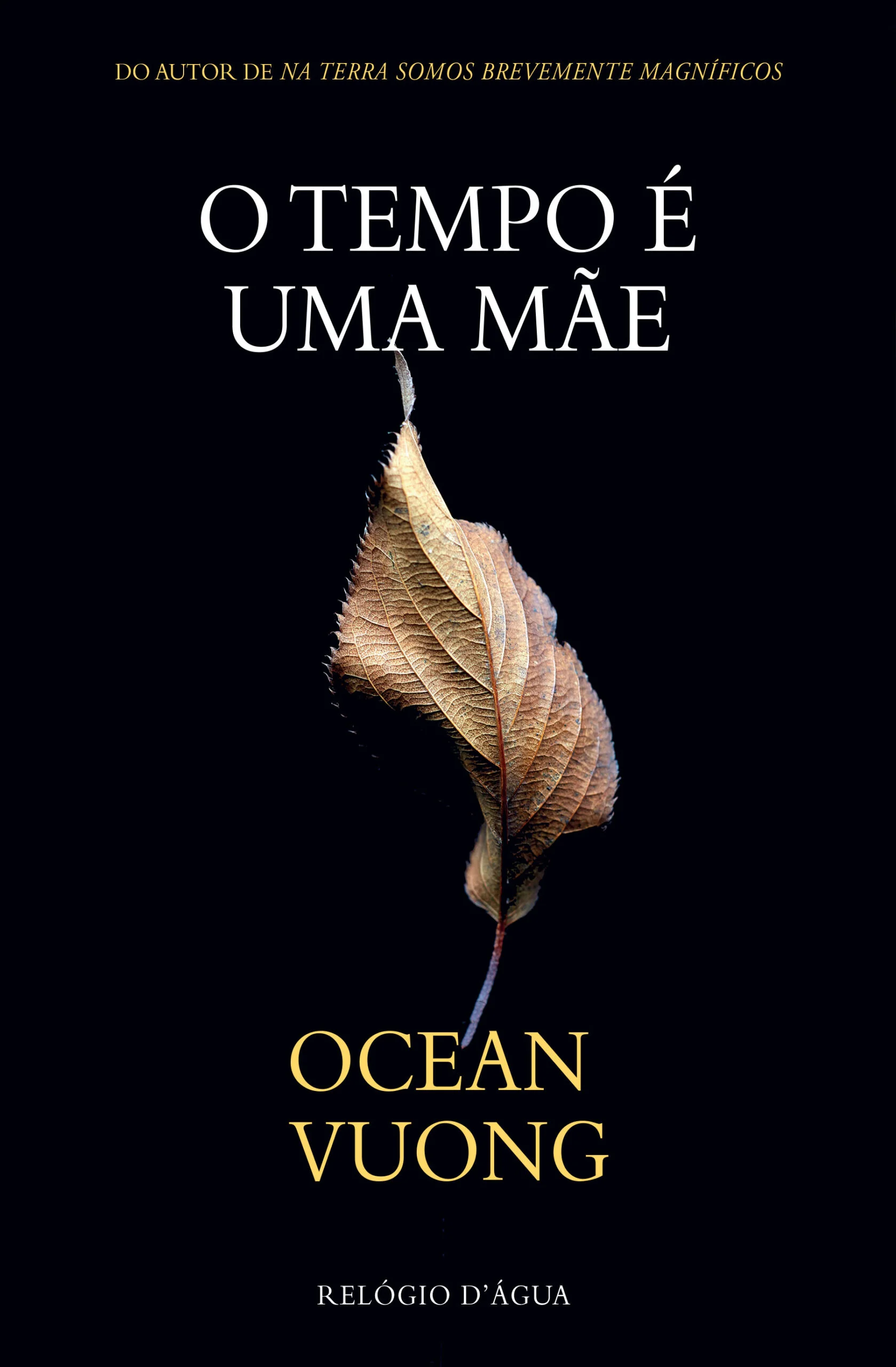 Imagem do produto  O Tempo é uma Mãe