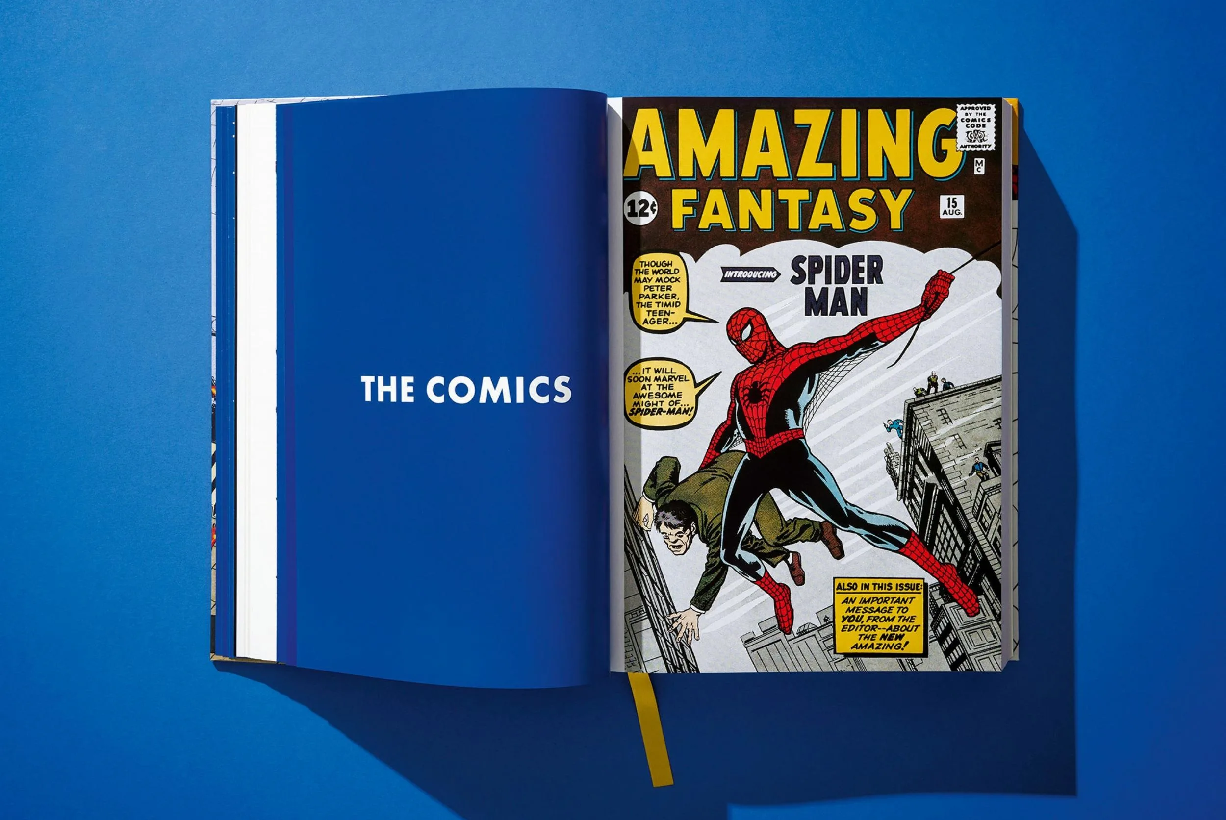 Marvel Comics Library. Spider-Man. Vol. 1. 1962 - 1964 (ENG) - Image 15