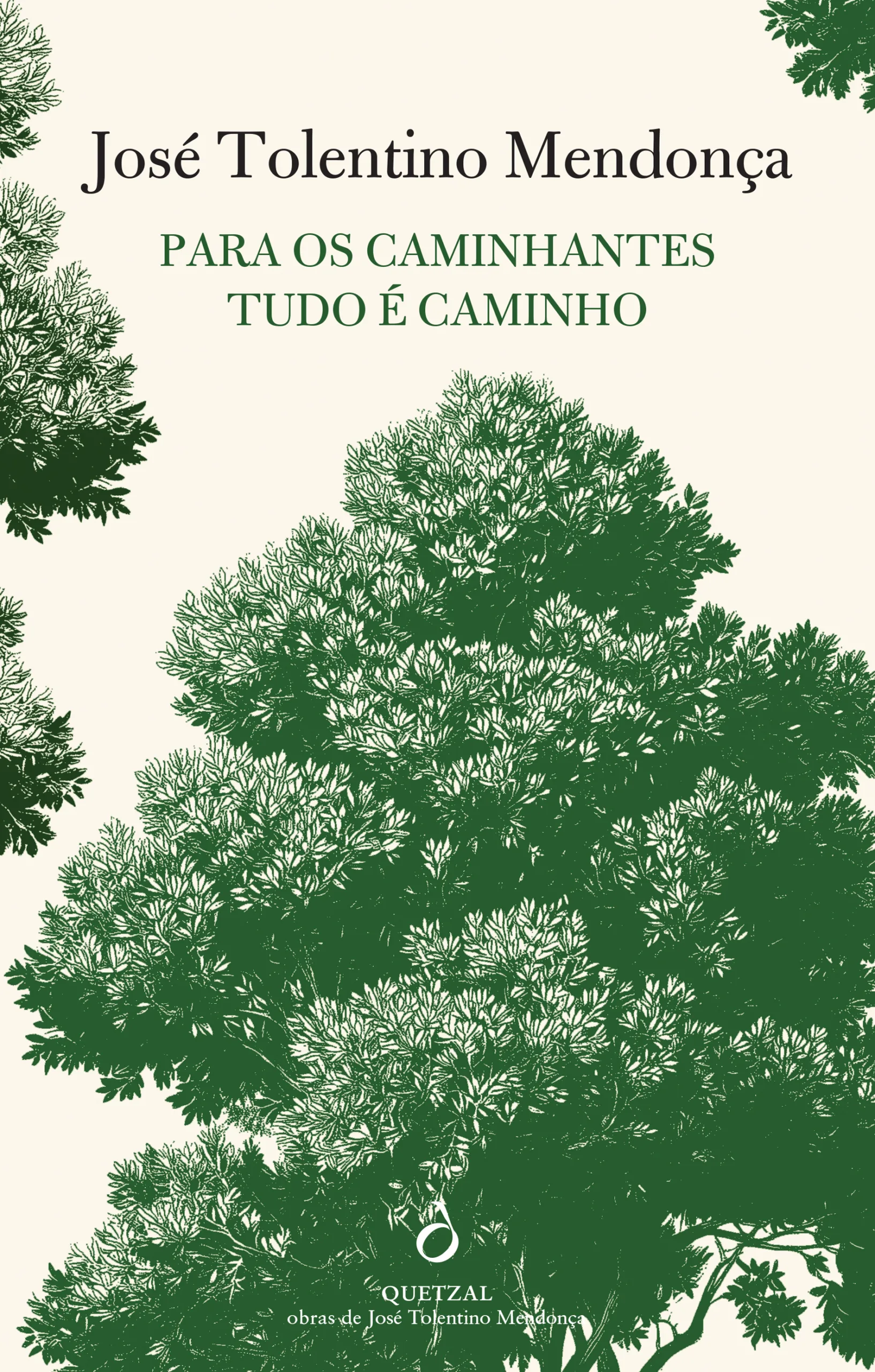 Imagem do produto  Para os Caminhantes Tudo É Caminho