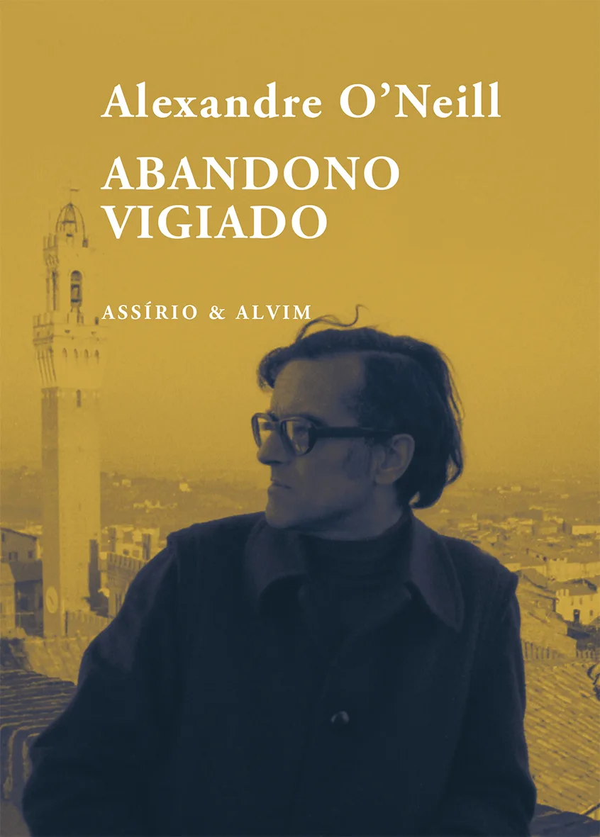 Imagem do produto  Abandono Vigiado