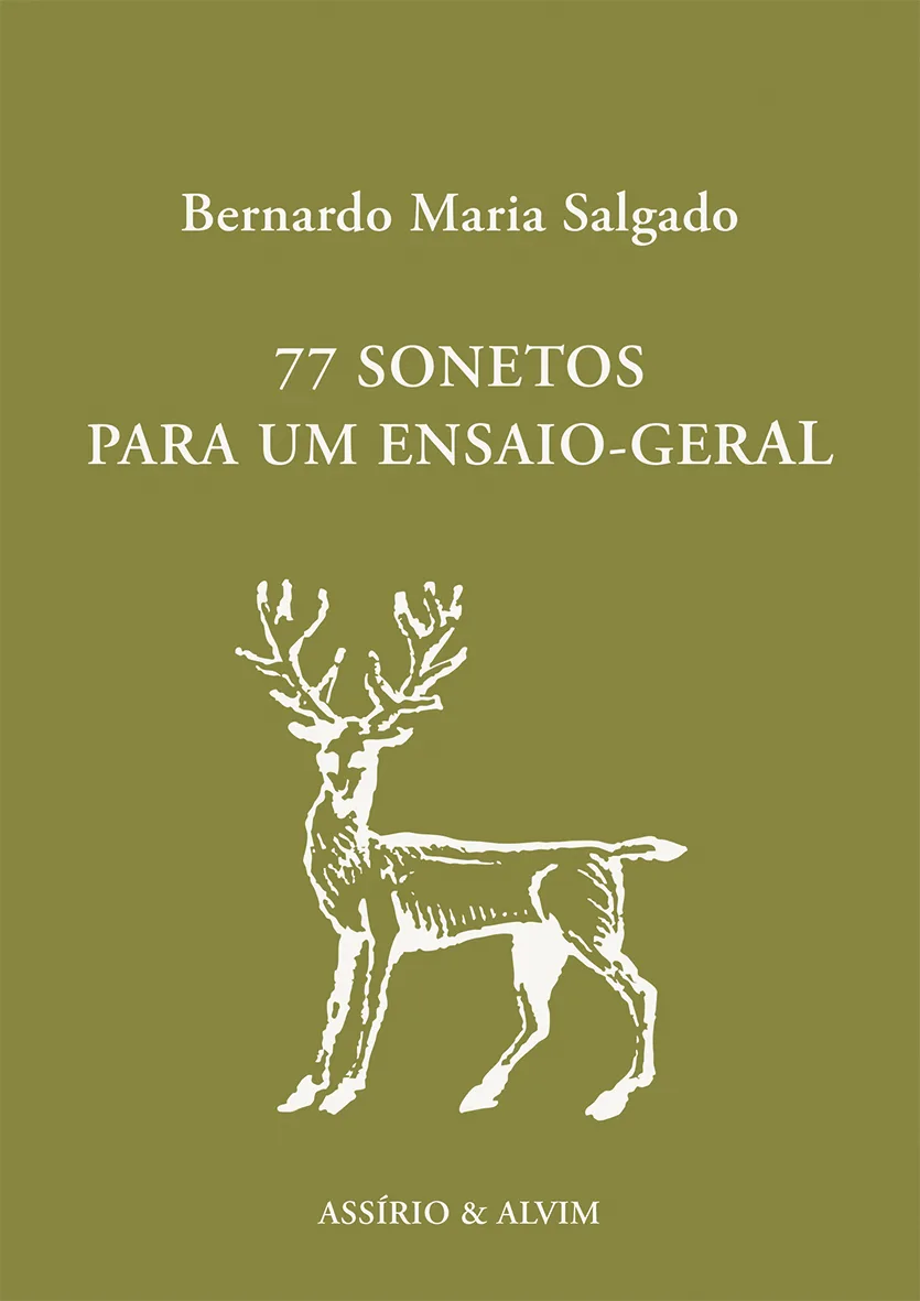 Imagem do produto  77 Sonetos para um Ensaio-Geral