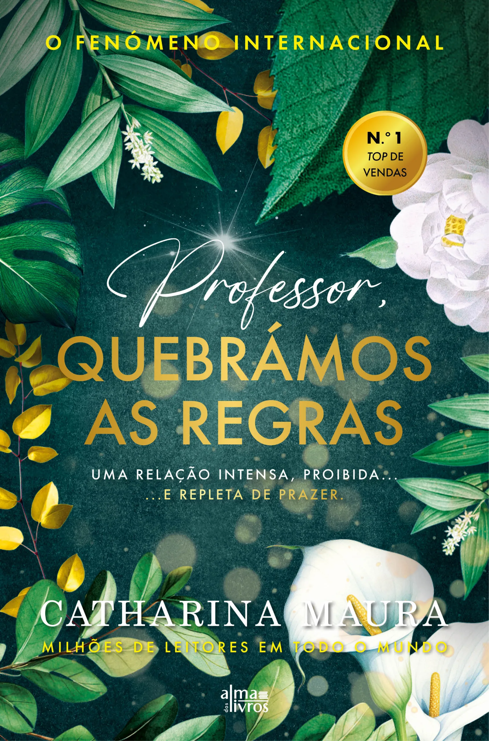 Imagem do produto  Professor, Quebrámos as Regras