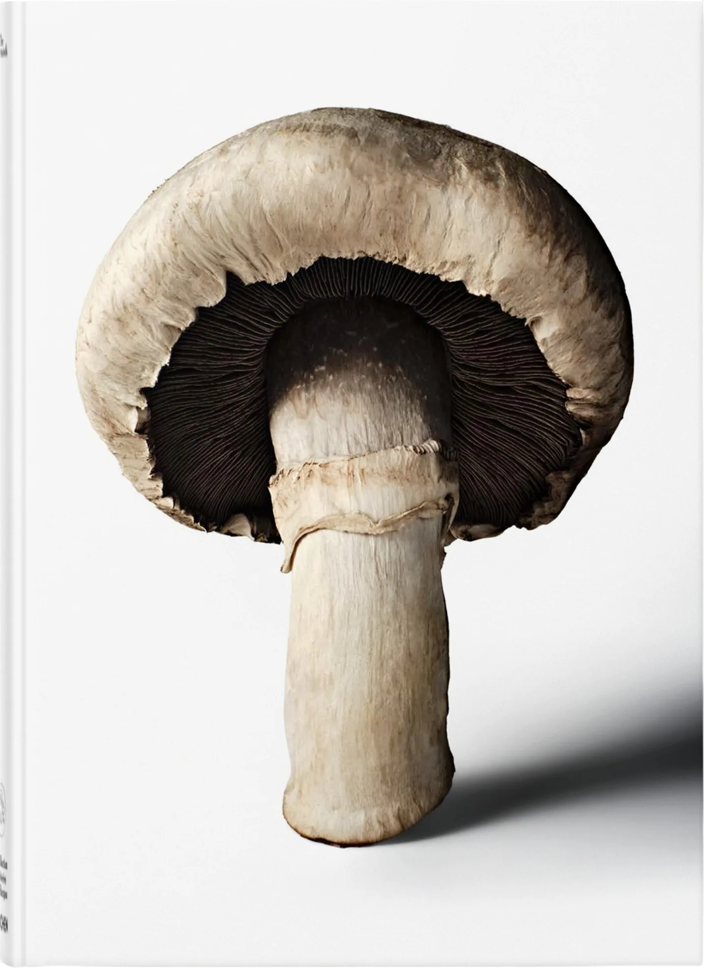 Imagem do produto  The Gourmand's Mushroom. A Collection of Stories & Recipes (ENG)