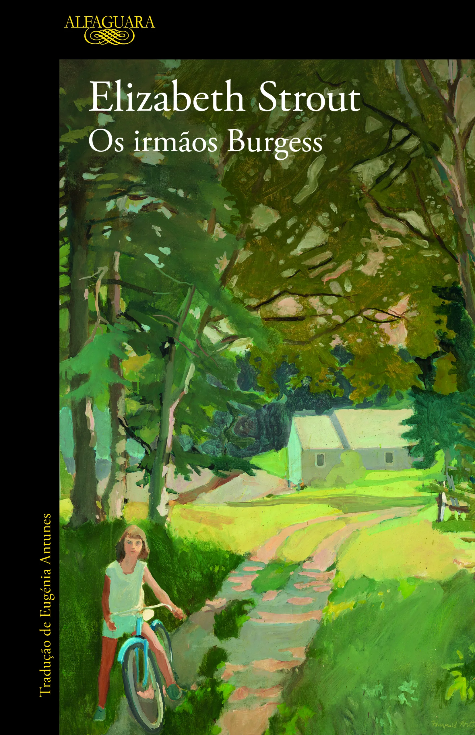 Imagem do produto  Os Irmãos Burgess