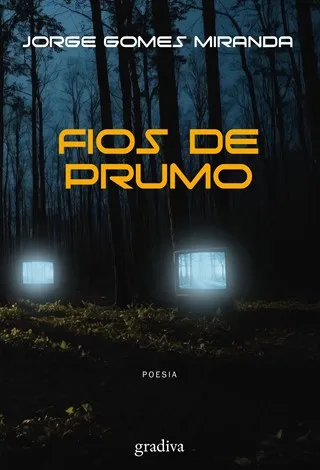 Imagem do produto  Fios de Prumo