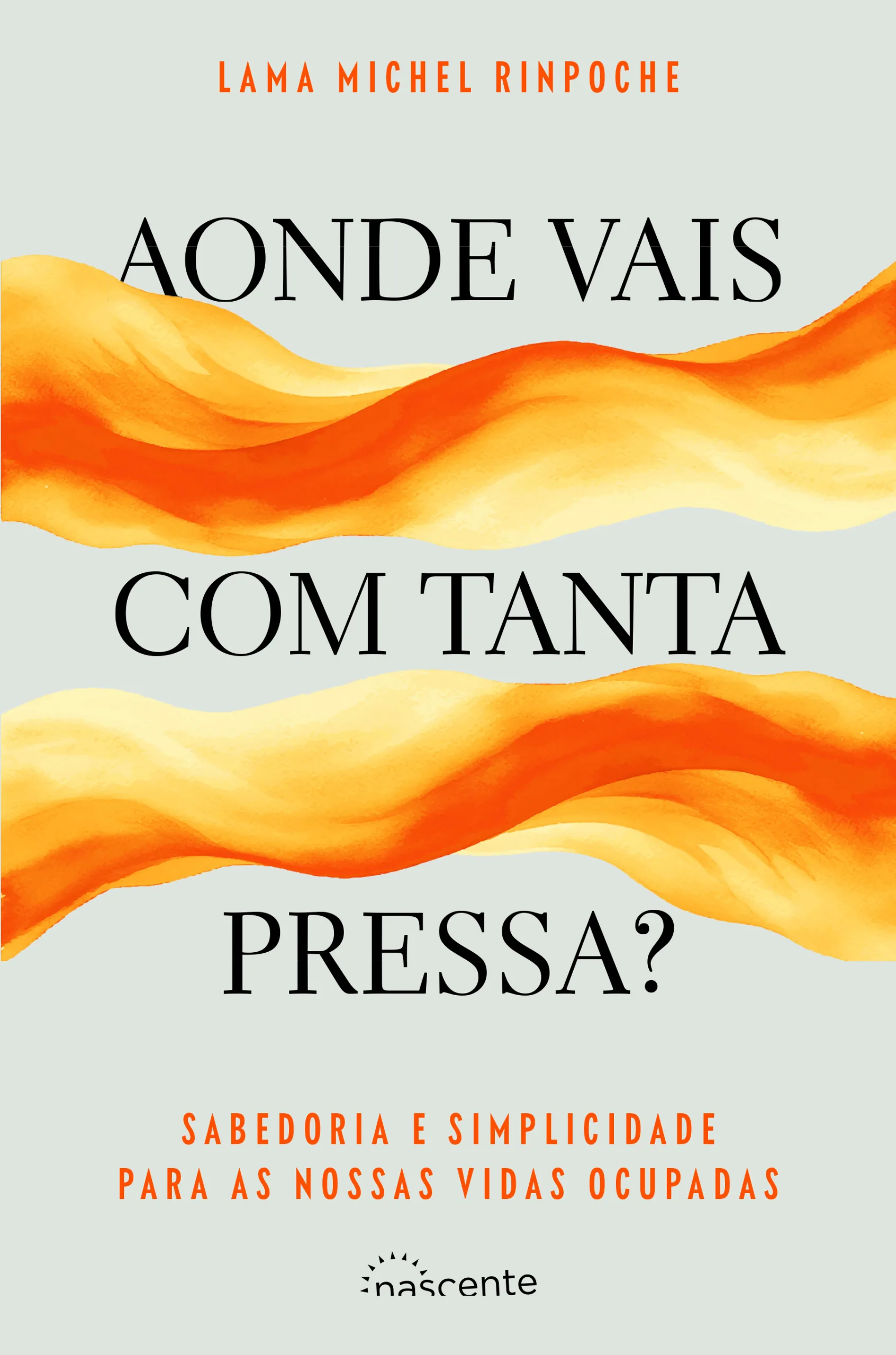 Imagem do produto  Aonde Vais com Tanta Pressa?