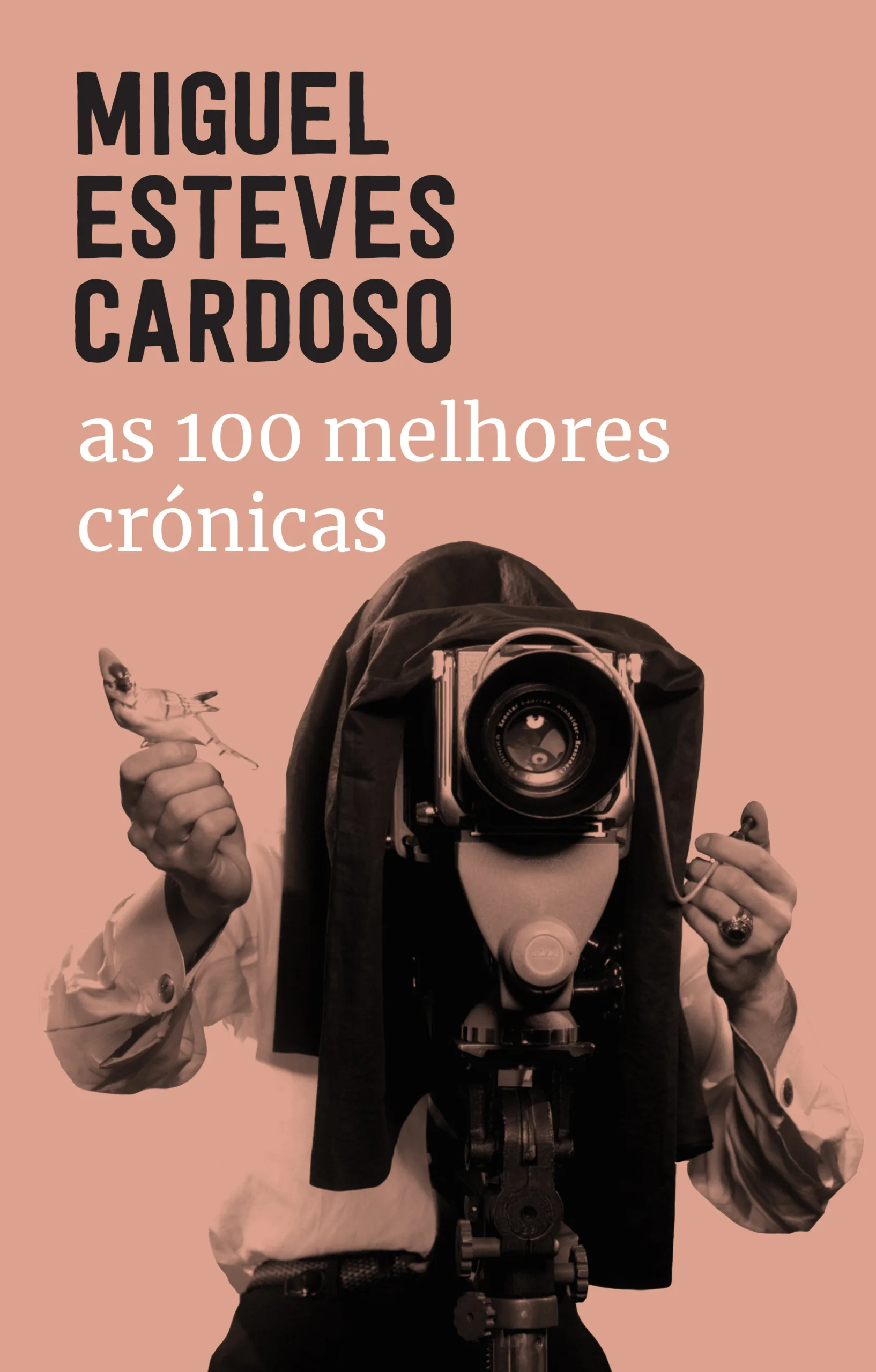 Imagem do produto  As 100 Melhores Crónicas
