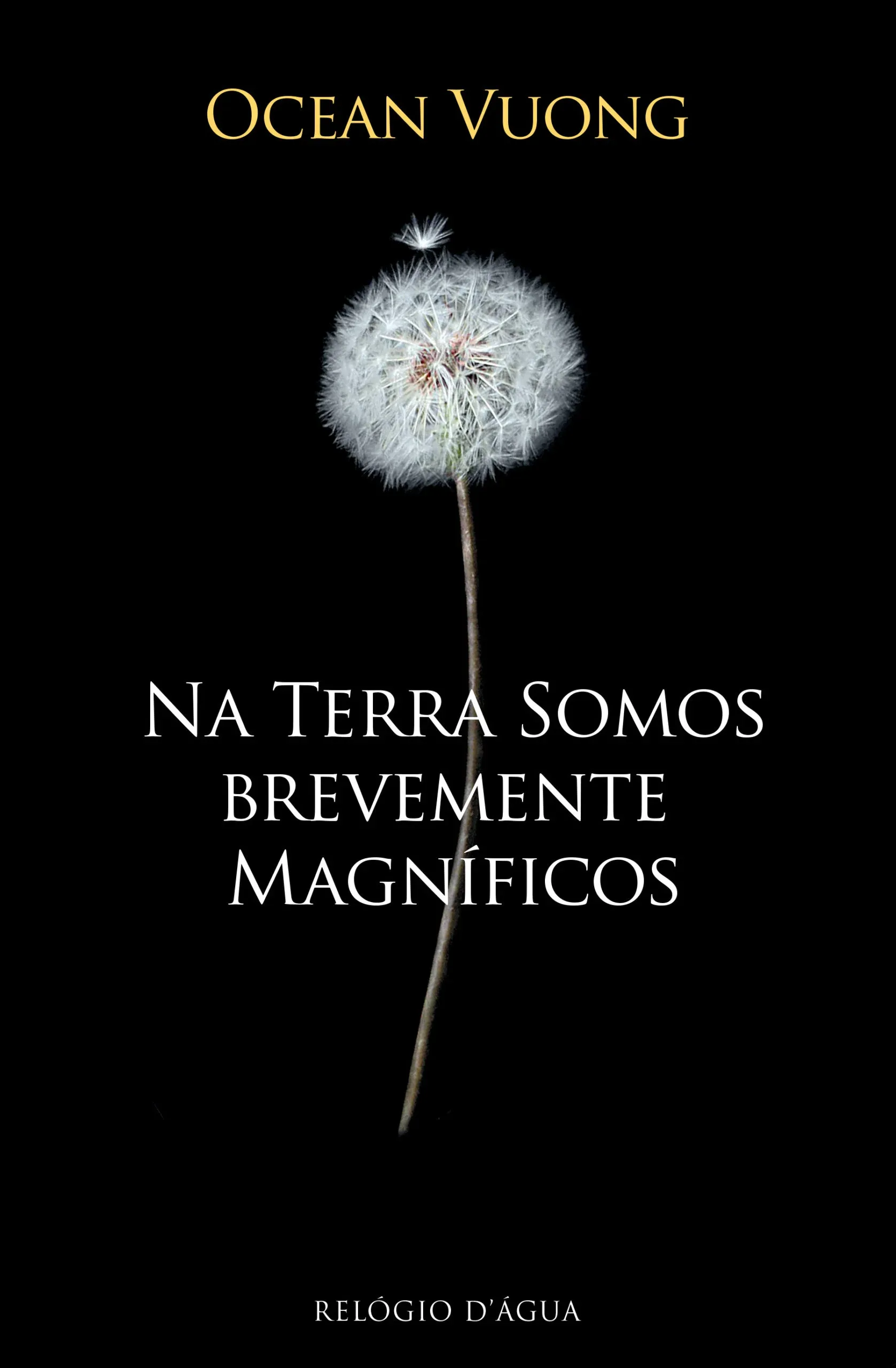 Imagem do produto  Na Terra Somos Brevemente Magníficos