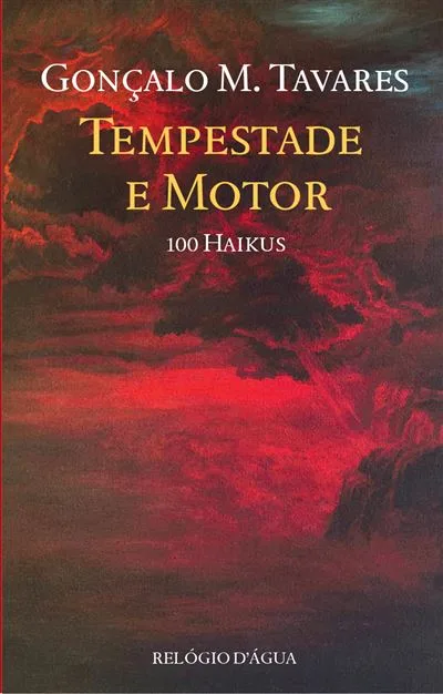 Imagem do produto  Tempestade e Motor