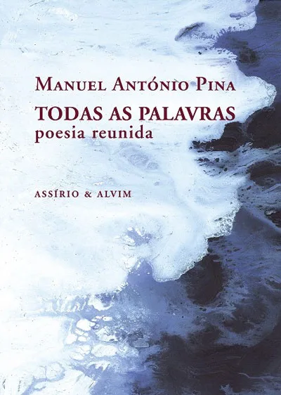 Imagem do produto  Todas as Palavras