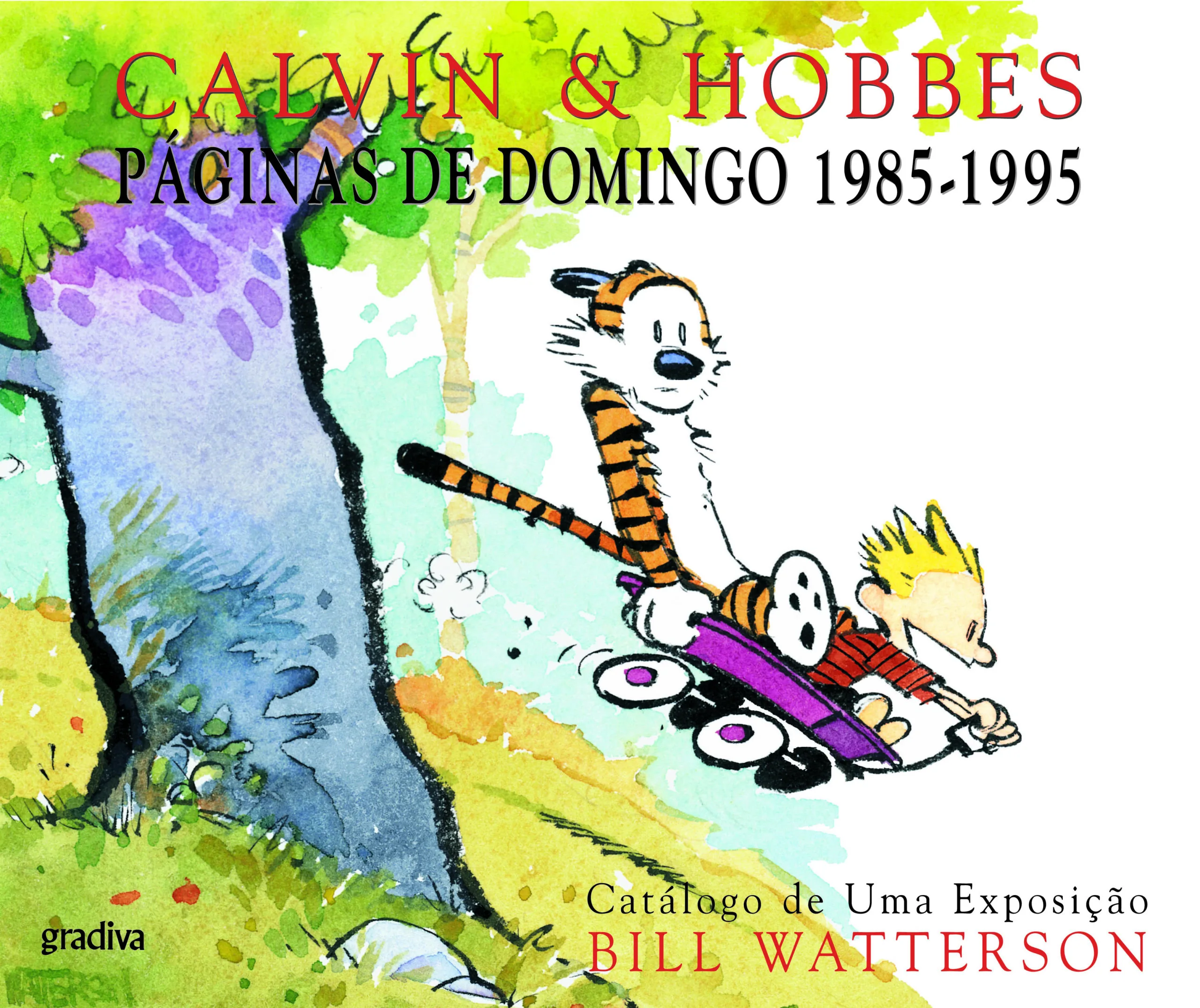 Imagem do produto  Calvin & Hobbes - Páginas de Domingo 1985 -1995