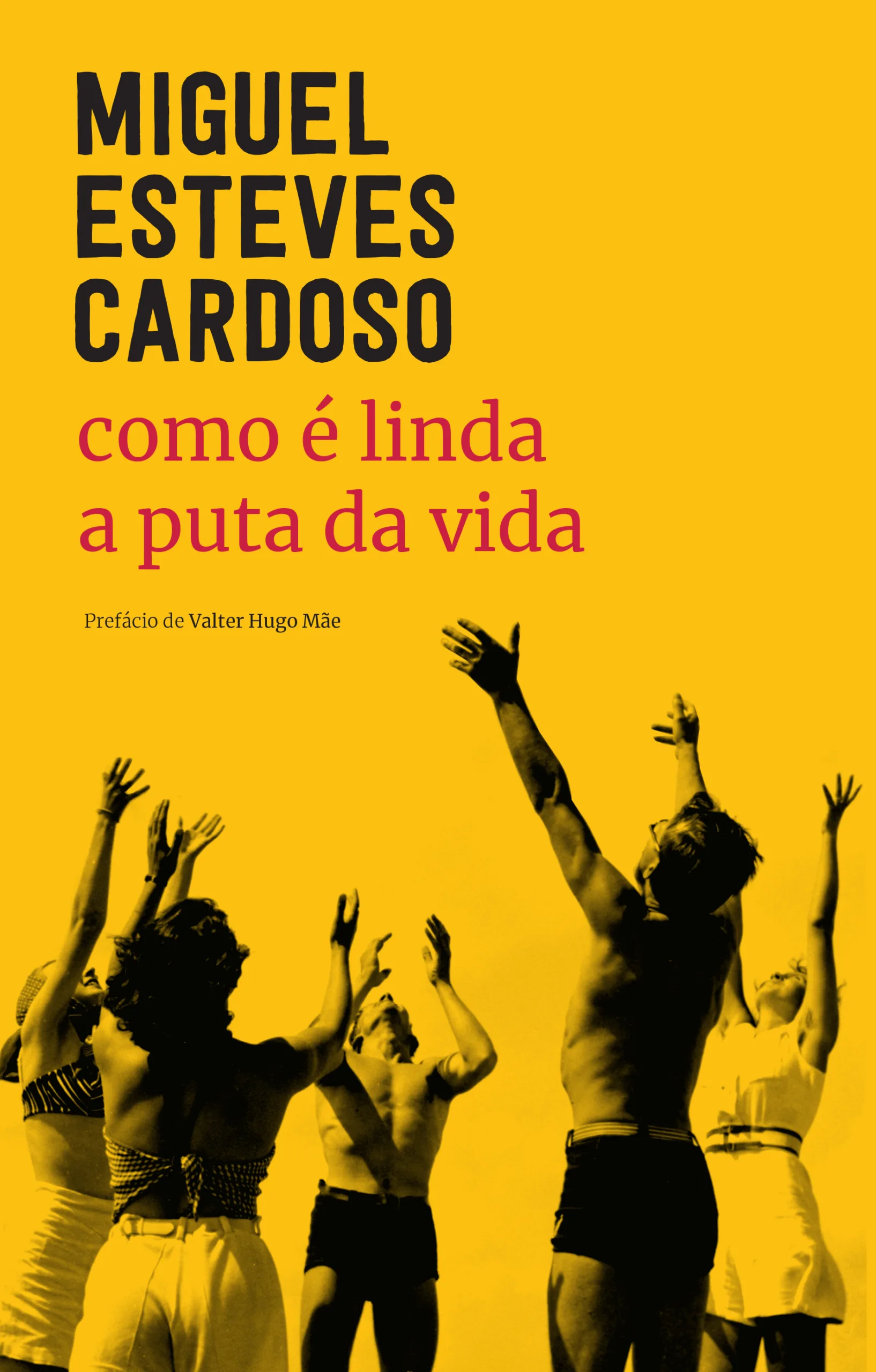 Imagem do produto  Como é Linda a Puta da Vida