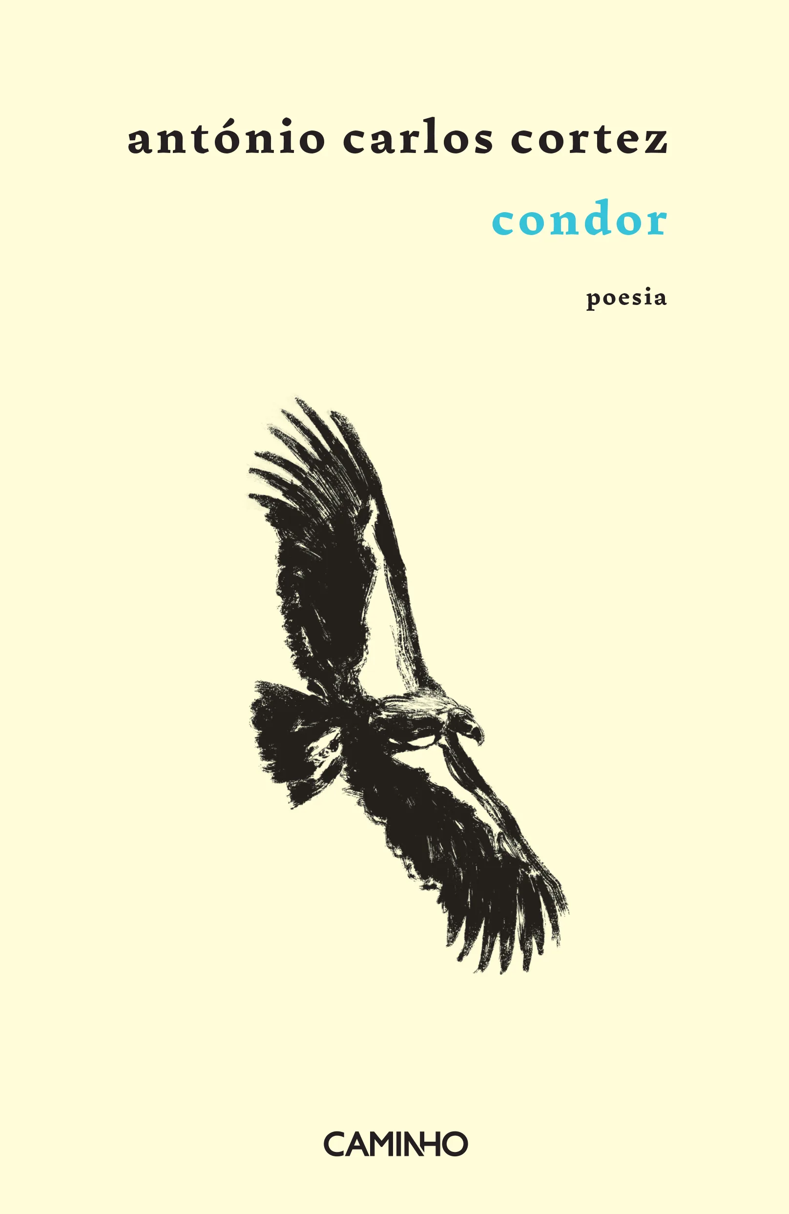 Imagem do produto  Condor