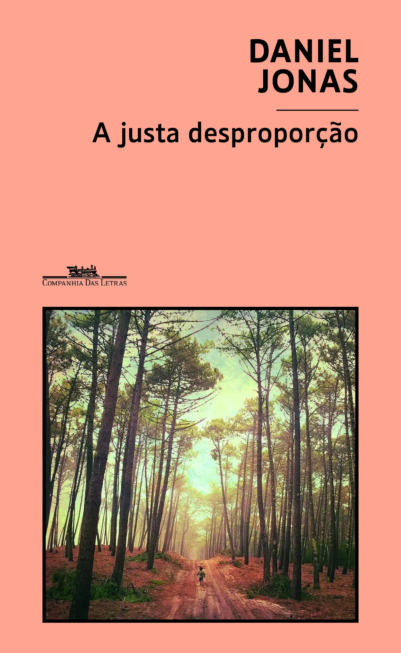 Imagem do produto  A Justa Desproporção